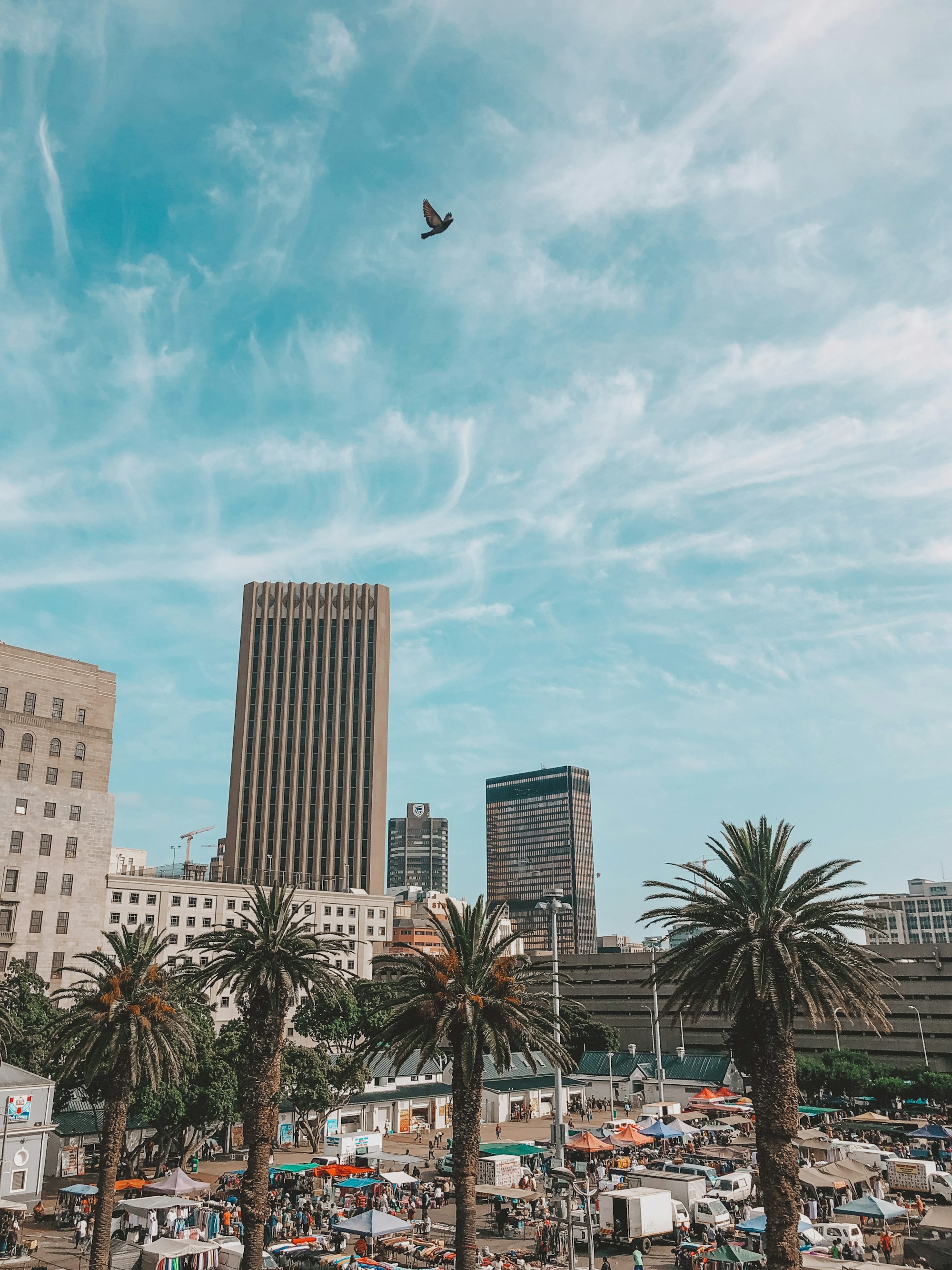A South African city centre, market stalls and traffic busy beneath the office towers